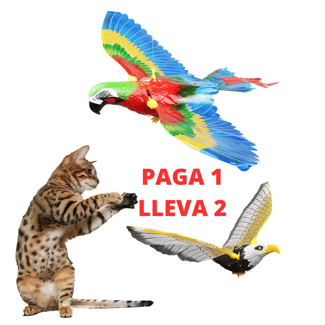 FLIEGENDER™ AVES PARA GATOS X2 UNIDADES